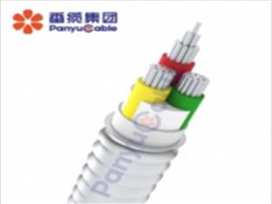 广州番禺电缆：引领电缆选择新标准