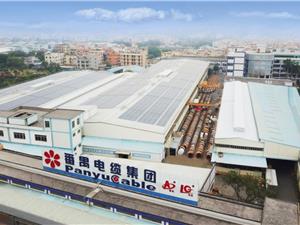广州番禺电缆集团对于船用电缆的发展前景的简析